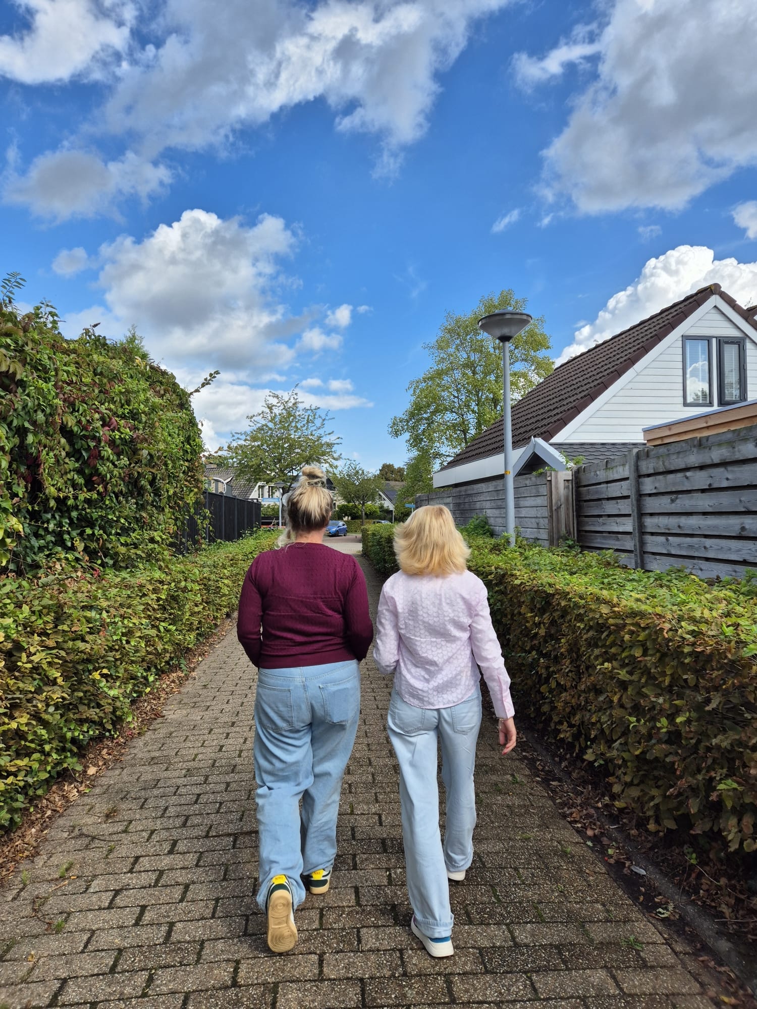 Mind in Shape ga mee je wandelen Mind in Shape ga mee je wandelen